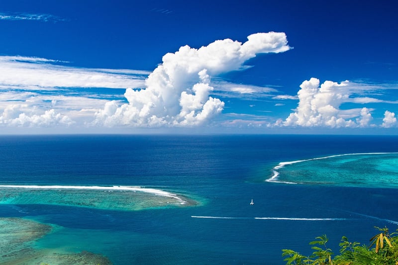 Tropical Destination